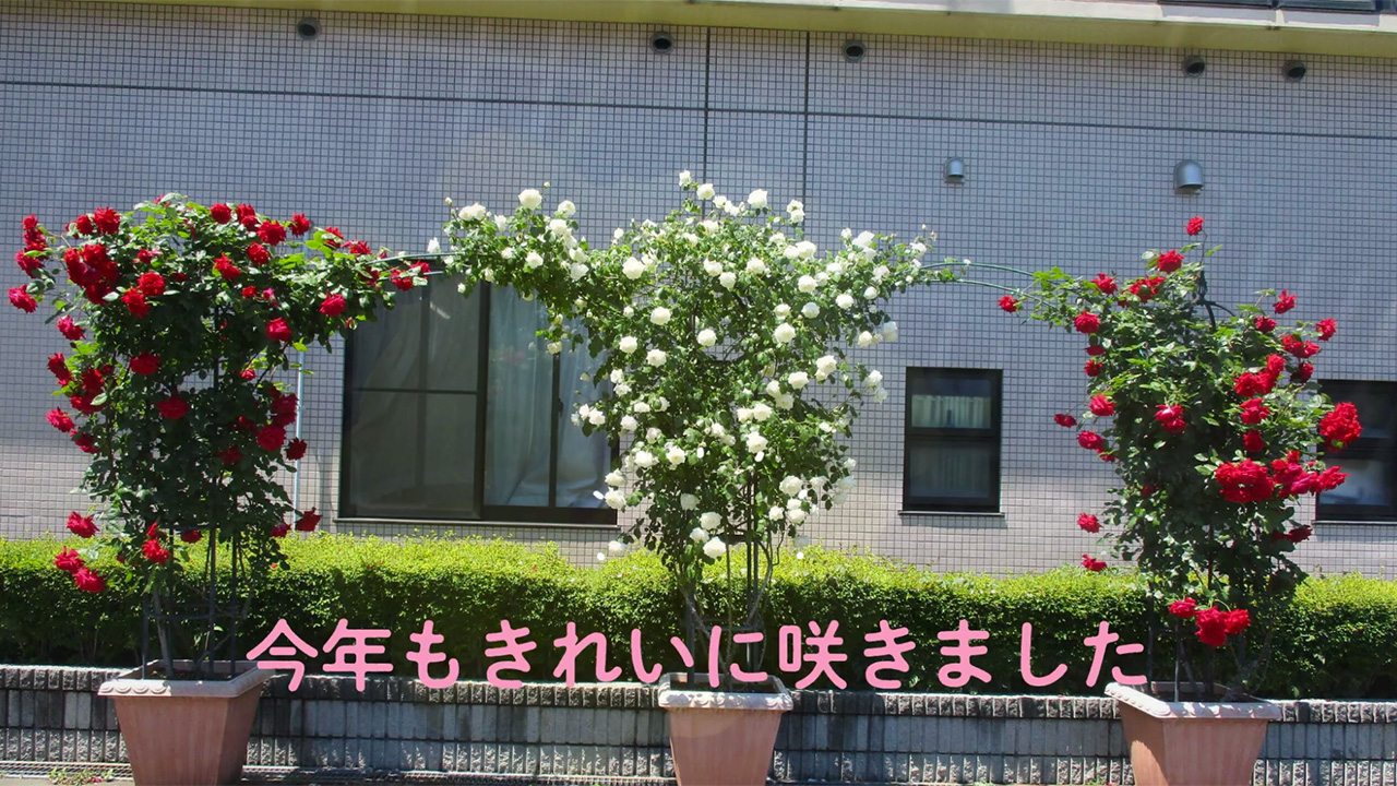 【サニーライフ越谷】 薔薇庭園
